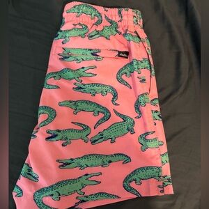 Men’s chubbies swim shorts